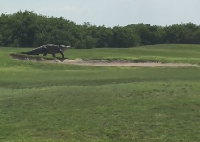 20160601113024000000_1_61095_22.jpg