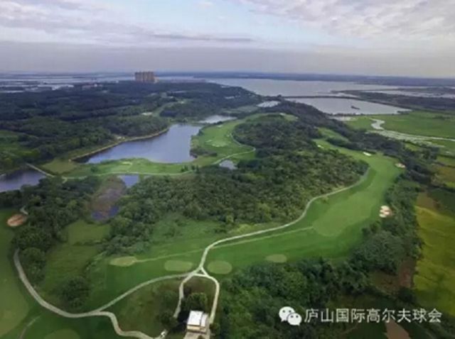 20160627172331000000_1_85283_1.jpg