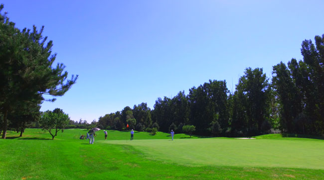 20160919172320000000_1_44946_46.jpg