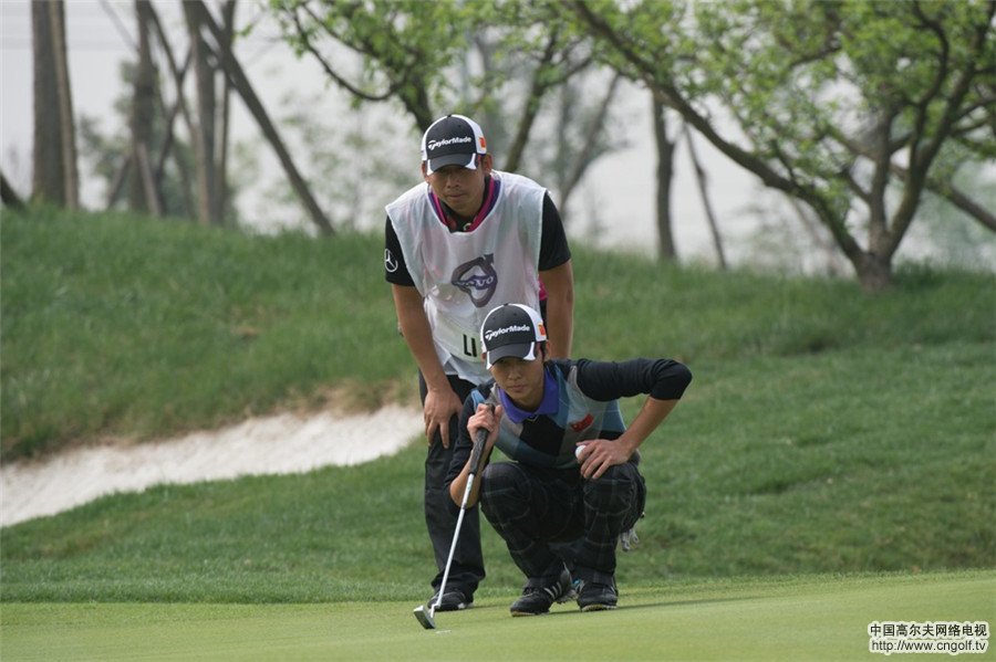 �ֶ����й������������ʸ�������