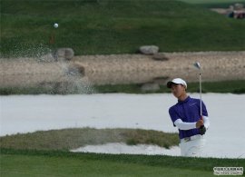 �ֶ��ֻ����ʸ��� Ҷ�ֳϴ���ʷ