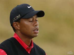 Ӣ�������������ּ���