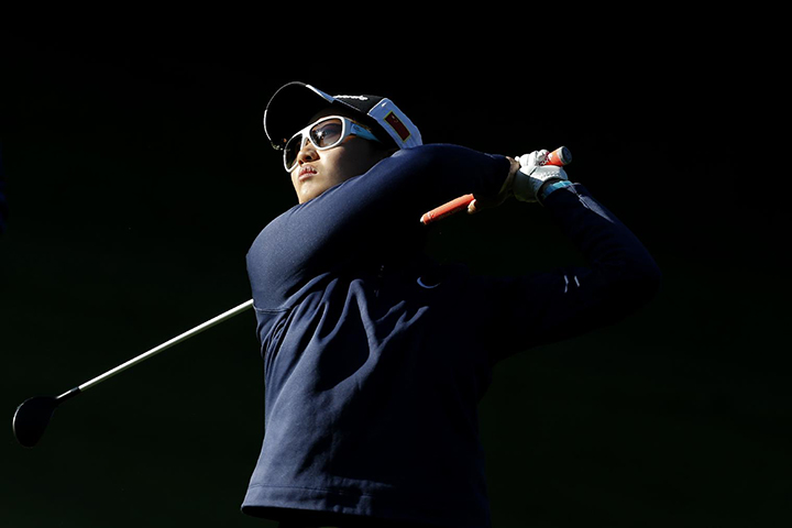 ���ƽ�����������������