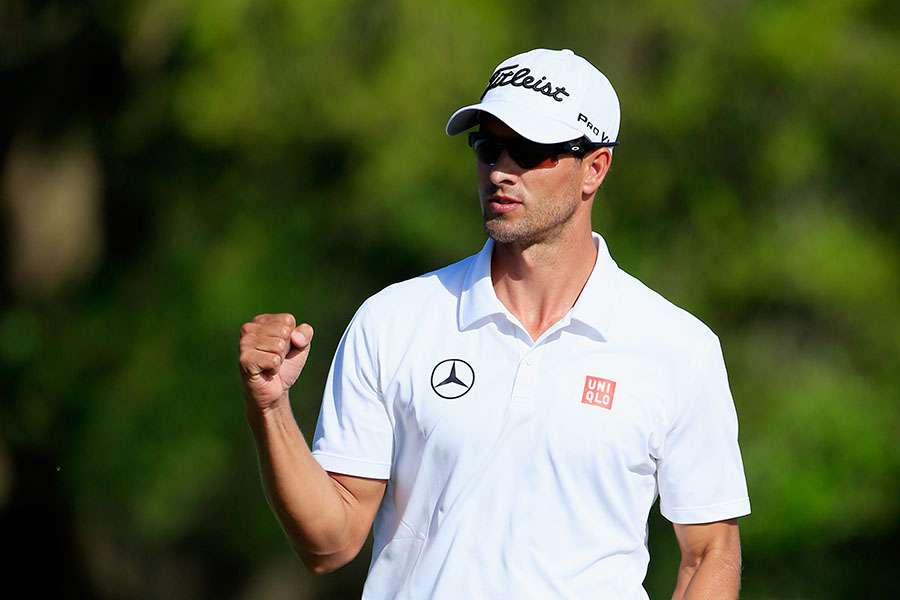 ����Ĭ������������