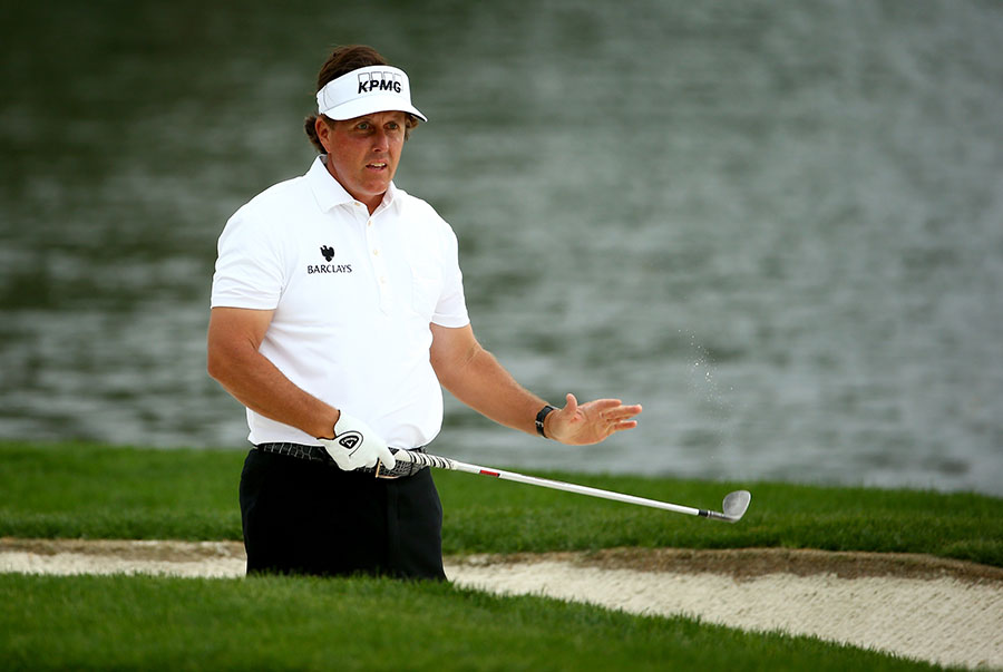 �������н���������