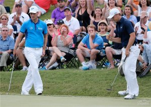 ��Ա������������